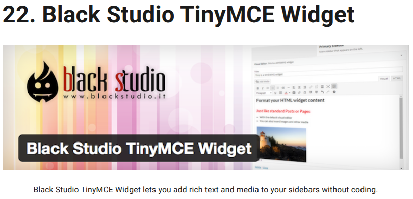 Screenshot 2025-11-24 6.13.38 PM Black Studion TinyMCE Widget